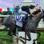 napoleon-solo-wins-151st-preakness-stakes