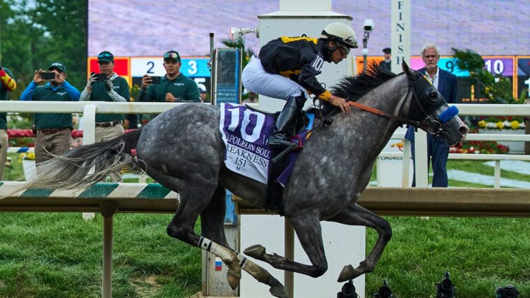 napoleon-solo-wins-151st-preakness-stakes