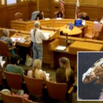 sf-pet-store-owners-prepare-to-fight-as-city-plots-ban-on-sale-of-live-animals