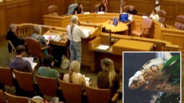 sf-pet-store-owners-prepare-to-fight-as-city-plots-ban-on-sale-of-live-animals