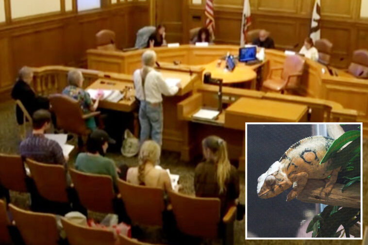 sf-pet-store-owners-prepare-to-fight-as-city-plots-ban-on-sale-of-live-animals