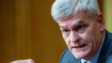 ***-election-night-livewire-***-cassidy-cornered:-louisiana-decides-fate-of-trump-impeachment-enabler