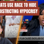 jasmine-crockett-goes-on-msnow-and-accidentally-exposes-the-democrats’-entire-redistricting-scam-(video)