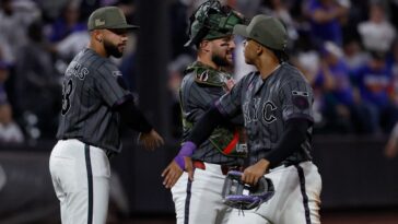 loyal-mets-fans-deserved-this-subway-series-win-after-brutal-start-to-season