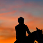 horse-dies-after-crossing-the-finish-line-in-his-first-career-race