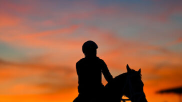 horse-dies-after-crossing-the-finish-line-in-his-first-career-race