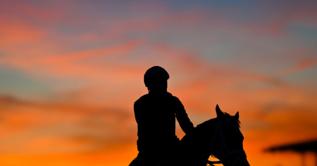 horse-dies-after-crossing-the-finish-line-in-his-first-career-race