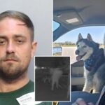 florida-house-sitter-arrested-weeks-after-allegedly-stealing-colorado-airman’s-dog-who-was-later-found-dead-inside-abandoned-car