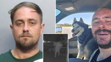 florida-house-sitter-arrested-weeks-after-allegedly-stealing-colorado-airman’s-dog-who-was-later-found-dead-inside-abandoned-car