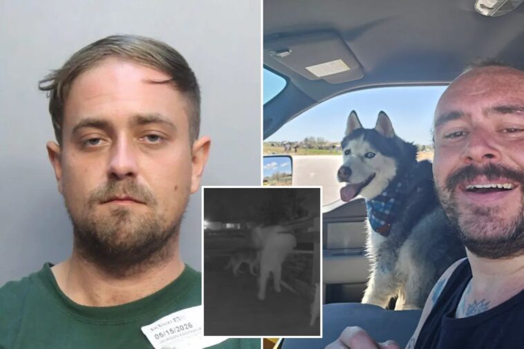 florida-house-sitter-arrested-weeks-after-allegedly-stealing-colorado-airman’s-dog-who-was-later-found-dead-inside-abandoned-car