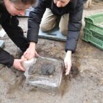 ‘extremely-rare’-2,000-year-old-bread-loaf-unearthed-at-roman-legionary-camp