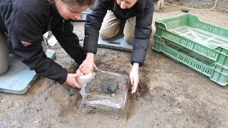 ‘extremely-rare’-2,000-year-old-bread-loaf-unearthed-at-roman-legionary-camp