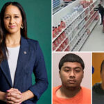 san-francisco-da-brooke-jenkins-warns-‘devastating’-california-court-ruling-will-unleash-crime-wave