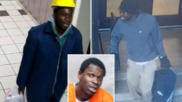 notorious-vagrant-known-as-‘pee-pee-poo-poo-man’-arrested-on-horrifying-new-charges