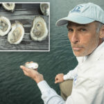 li-oyster-growers-shelled-again-—-this-time-by-warning-of-killer-bacteria-in-water