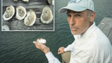 li-oyster-growers-shelled-again-—-this-time-by-warning-of-killer-bacteria-in-water