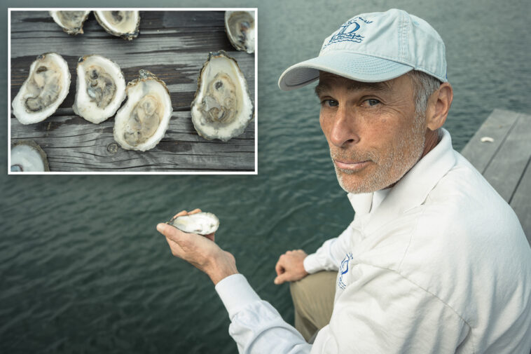 li-oyster-growers-shelled-again-—-this-time-by-warning-of-killer-bacteria-in-water