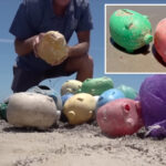 dozens-of-defective-piggybanks-wash-ashore-in-texas-—-and-no-one-knows-where-they-came-from