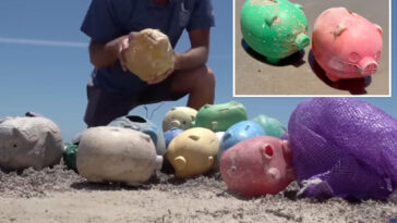 dozens-of-defective-piggybanks-wash-ashore-in-texas-—-and-no-one-knows-where-they-came-from