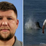 arrogant-tourist-who-threw-huge-rock-at-hawaiian-seal-gives-ridiculous-reason-for-attack