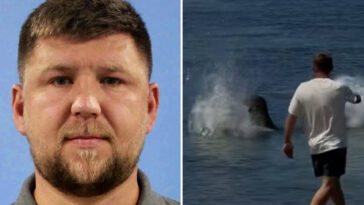 arrogant-tourist-who-threw-huge-rock-at-hawaiian-seal-gives-ridiculous-reason-for-attack