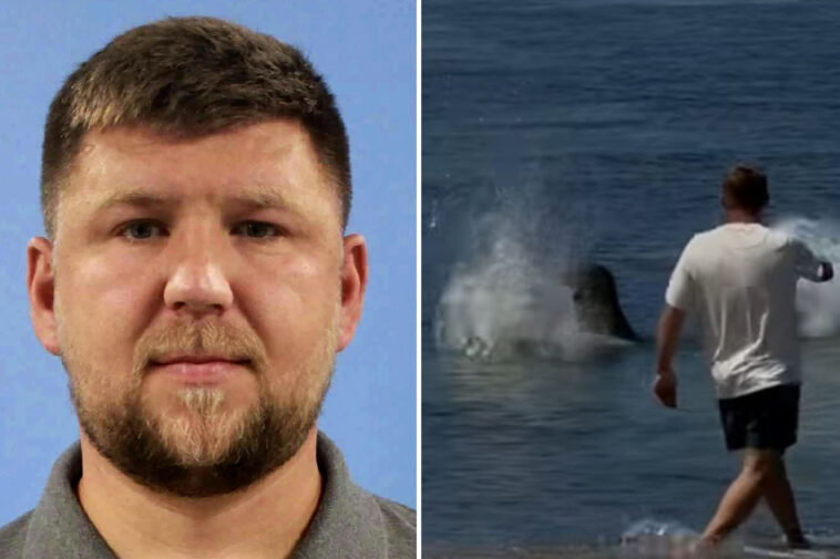 arrogant-tourist-who-threw-huge-rock-at-hawaiian-seal-gives-ridiculous-reason-for-attack
