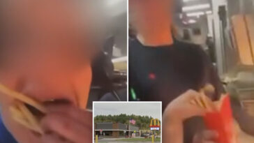 mcdonald’s-worker-behind-revolting-french-fry-video-to-face-criminal-charges:-cops