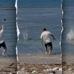 attorney-for-man-accused-of-throwing-rock-at-endangered-hawaiian-monk-seal-says-client-was-protecting-turtles