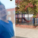 sicko-wanted-for-shoving-group-of-children,-choking-7-year-old-boy-in-nyc-park