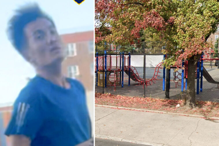 sicko-wanted-for-shoving-group-of-children,-choking-7-year-old-boy-in-nyc-park