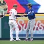 freeway-series-gets-weird-after-dodgers-fan-wrangles-wild-opossum-in-stands