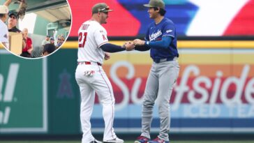 freeway-series-gets-weird-after-dodgers-fan-wrangles-wild-opossum-in-stands