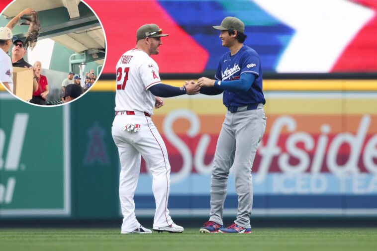 freeway-series-gets-weird-after-dodgers-fan-wrangles-wild-opossum-in-stands