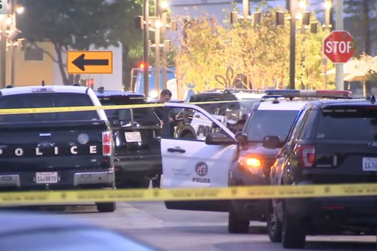 wild-santa-monica-kidnapping-explodes-into-police-chase,-shootout