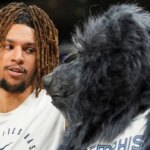 grizzlies-forward-brandon-clarke’s-fiancee-shares-heartbreaking-tribute-to-player-after-his-death