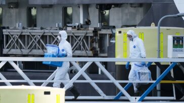 canada-confirms-hantavirus-case-linked-to-deadly-cruise-ship-outbreak