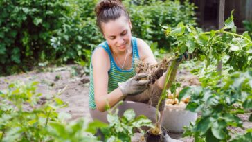 wife-can’t-wait-to-get-out-there-and-be-horrible-at-gardening-again