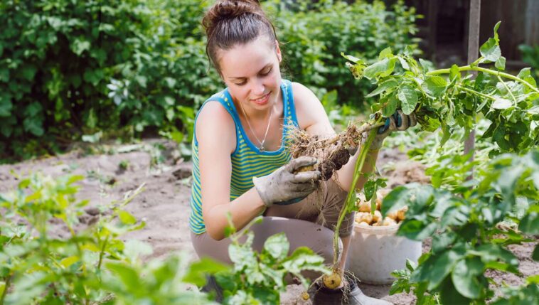 wife-can’t-wait-to-get-out-there-and-be-horrible-at-gardening-again