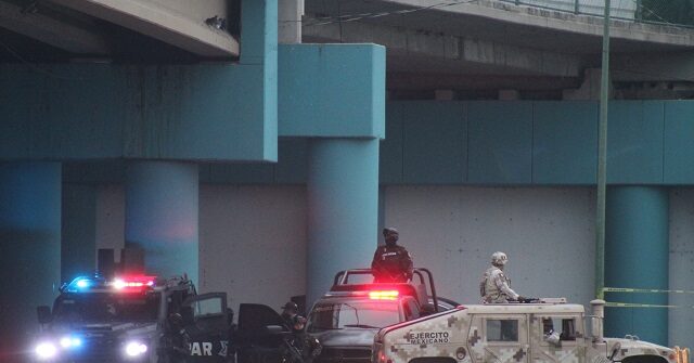 cartel-gunman-kills-10-family-members-in-mexico,-including-toddler