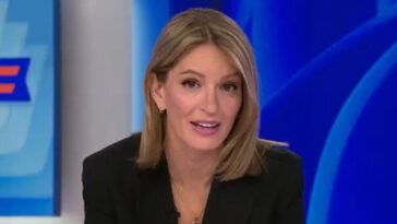 msnow-host-katy-tur-proves-she-is-utterly-clueless-about-the-rights-of-americans-coming-from-god-and-not-the-government-(video)