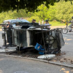 driver-hurt-after-spooked-horse-crashes-into-another-carriage-in-nyc-park:-‘it’s-madness’