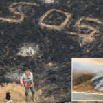 sailor-rescued-in-the-knick-of-time-as-massive,-record-breaking-wildfire-engulfs-california-island