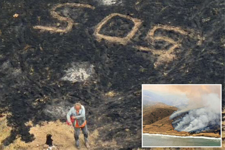 sailor-rescued-in-the-knick-of-time-as-massive,-record-breaking-wildfire-engulfs-california-island