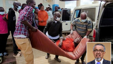 who-chief-concerned-at-speed-and-scale-of-ebola-outbreak