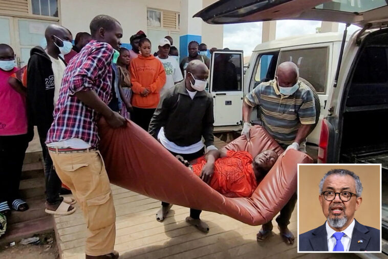 who-chief-concerned-at-speed-and-scale-of-ebola-outbreak
