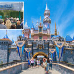 disneyland-targeted-in-class-action-lawsuit-claiming-new-program-is-violating-guests’-privacy