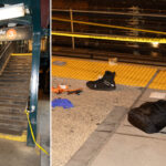 nyc-straphanger-falls-to-death-between-train-cars-during-fight-over-stolen-bag,-cops-and-sources-say