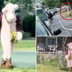 sicko-in-pink-panther-like-costume-allegedly-hunts-down-local-school-kids-in-virginia-—-nearly-abducts-little-girl