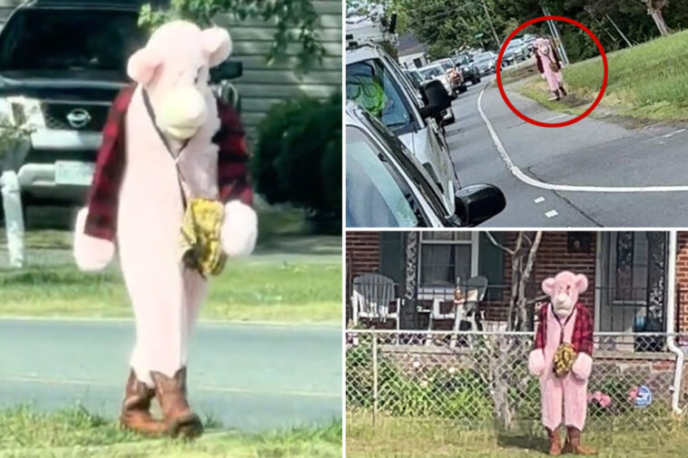 sicko-in-pink-panther-like-costume-allegedly-hunts-down-local-school-kids-in-virginia-—-nearly-abducts-little-girl
