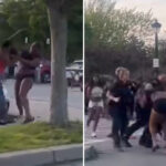 hundreds-of-hooligans-brawl-in-back-to-back-‘teen-takeovers’-at-ny-park
